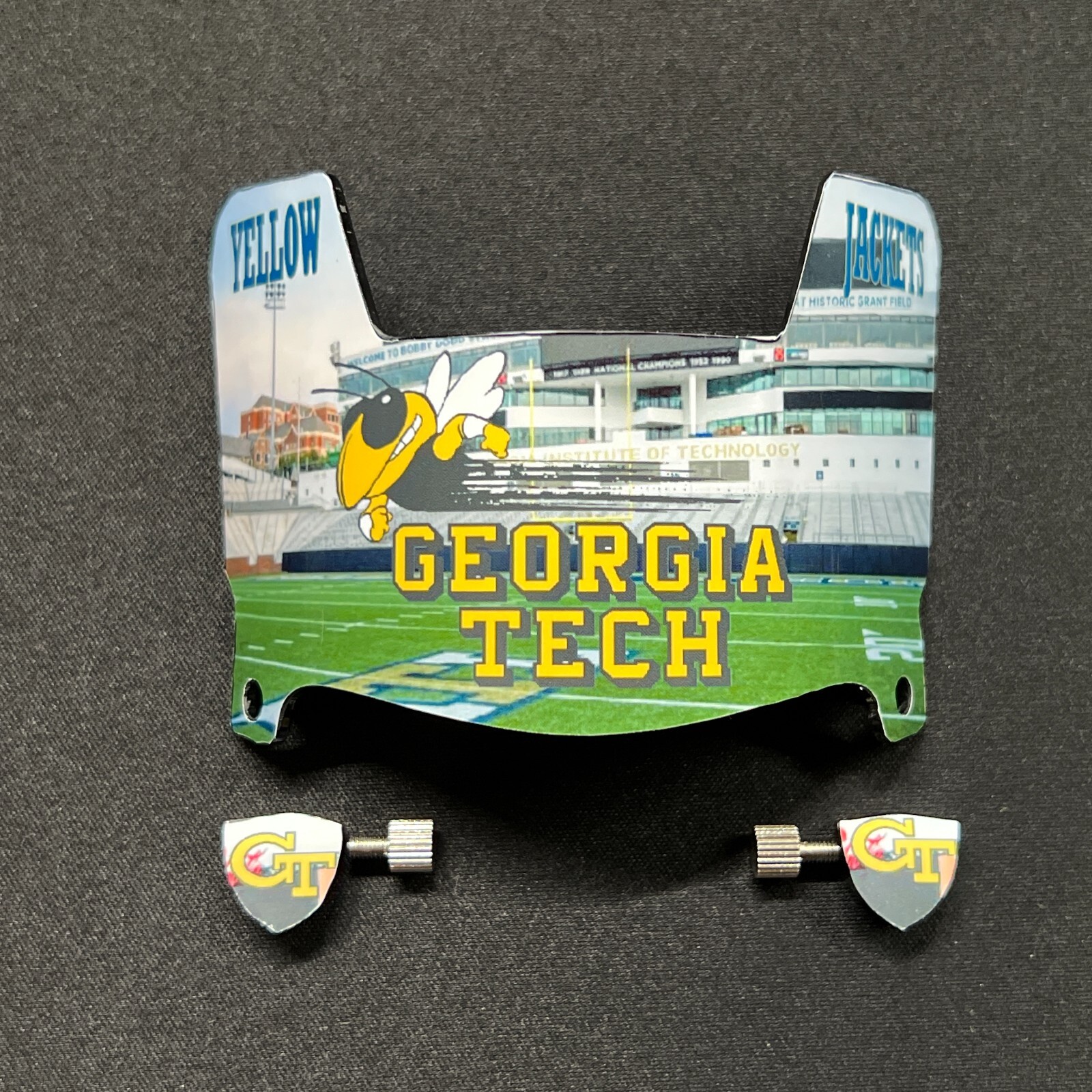 Georgia Tech Yellow Jackets CUSTOM MINI Football Helmet Visor
