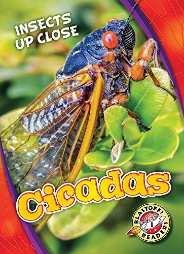 Cicadas (Insects Up Close).by Leaf  New 9781626176607 Fast Free Shipping**