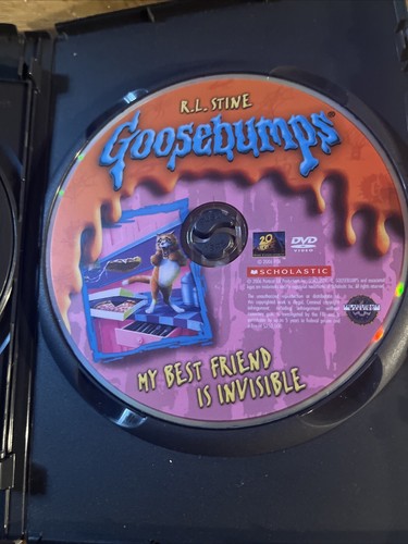 Gänsehaut DVD Posten - Perfekte Schule GRUSELIGES HAUS Chillogy, Freund ist Invis, NITT - Bild 9 von 10