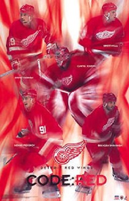 Red Wing Code 2002 Detroit Red Wings