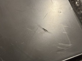 Tv Sports Football (Turbo Grafx 16 tg16) Complete in Case Turbografx Authentic