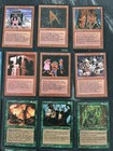 Foto 5 di 6
