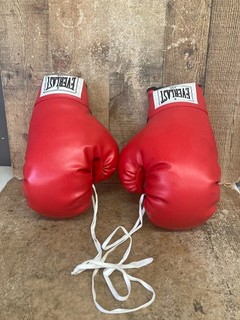Everlast Vintage Red Boxing Gloves 16oz w/ White laces laced Unused