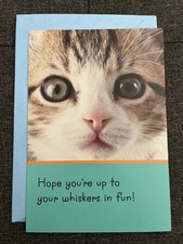 Happy Birthday Friend Niece Sister Daughter Cat Hallmark Greeting Card Kitten