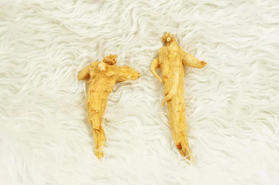 On Sale! Ginseng Roots, 5 Years Natural Growth, Family Package: 1Lb(454g)/bag - Image 4 of 4