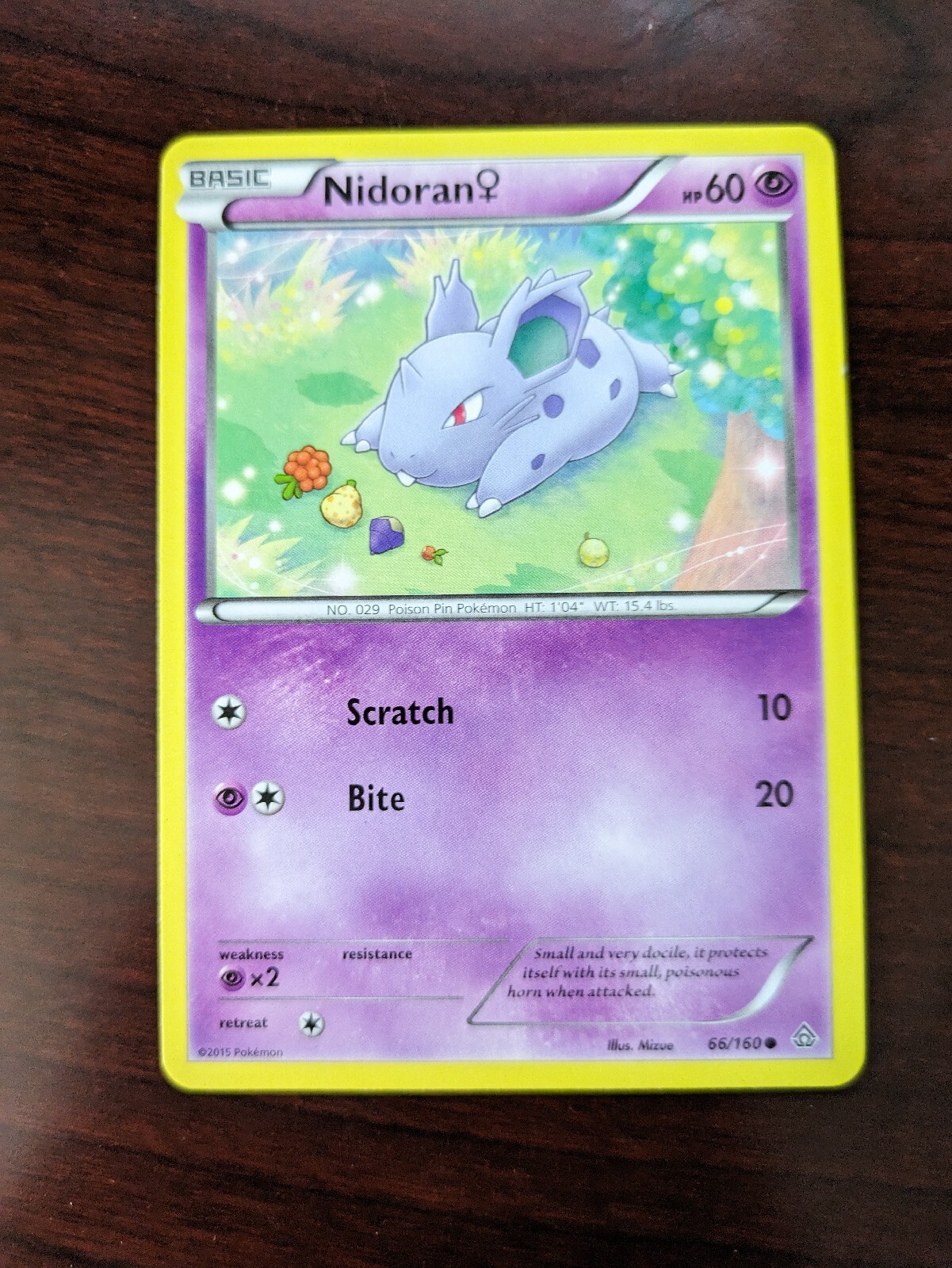Nidoran 66/160- Primal Clash- Common- NM/M