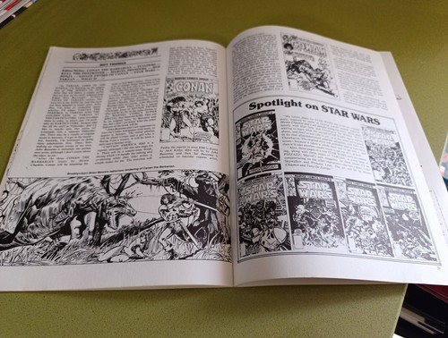 Foom Magazine #19 Marvel Comics 1977 SPECIAL DEFENDERS ROY THOMAS CONAN SURFER - Photo 10/10
