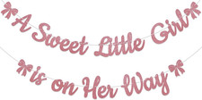 A Sweet Little Girl Is on Her Way Banner - Pink Bow Baby Shower Decorations, Swe