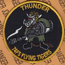 USAF Air Force 74th Fighter Sq FS Flying Tigers THUNDER ~3.75