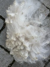 Rohwolle Alpakawolle zum Spinnen, naturbelassen, 1. Wahl