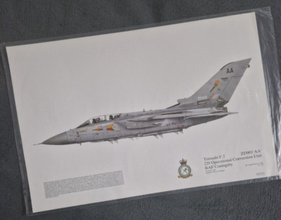 Tornado F.2 ZD9015 'AA' 229 Operational Conversion Unit RAF Coningsby Squadron P