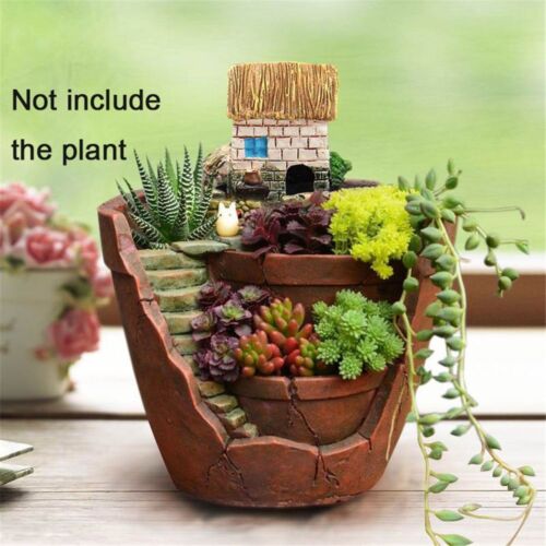 herbacée Bonsai Lit tubulaire Pot de fleurs Plante juteuse Semoir Garden Sky - Afbeelding 1 van 11