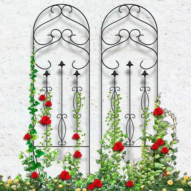Amagabeli Garden Trellises Trellis For Climbing Plants 60 X 18 Amagabeli Garden Trellis For Climbing Plants 60 X 18 Rustproof Black