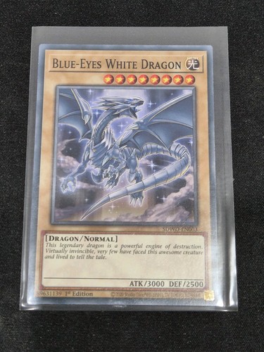Blue-Eyes White Dragon - Common - 1st EDITION Yugioh NM M - Picture 2 of 2