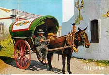 Postcard - Animals - Horses - Portugal - Algarve - Albufeira - Carro tipic
