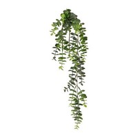 artplants Deko Eukalyptus Zanvor, Steckstab, GrüN, 65Cm