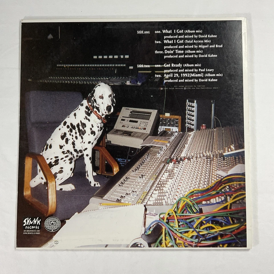 Sublime Lp Skunk Records Single 1996 What I Got 90s Alternative Ska Punk Foto 2 de 4