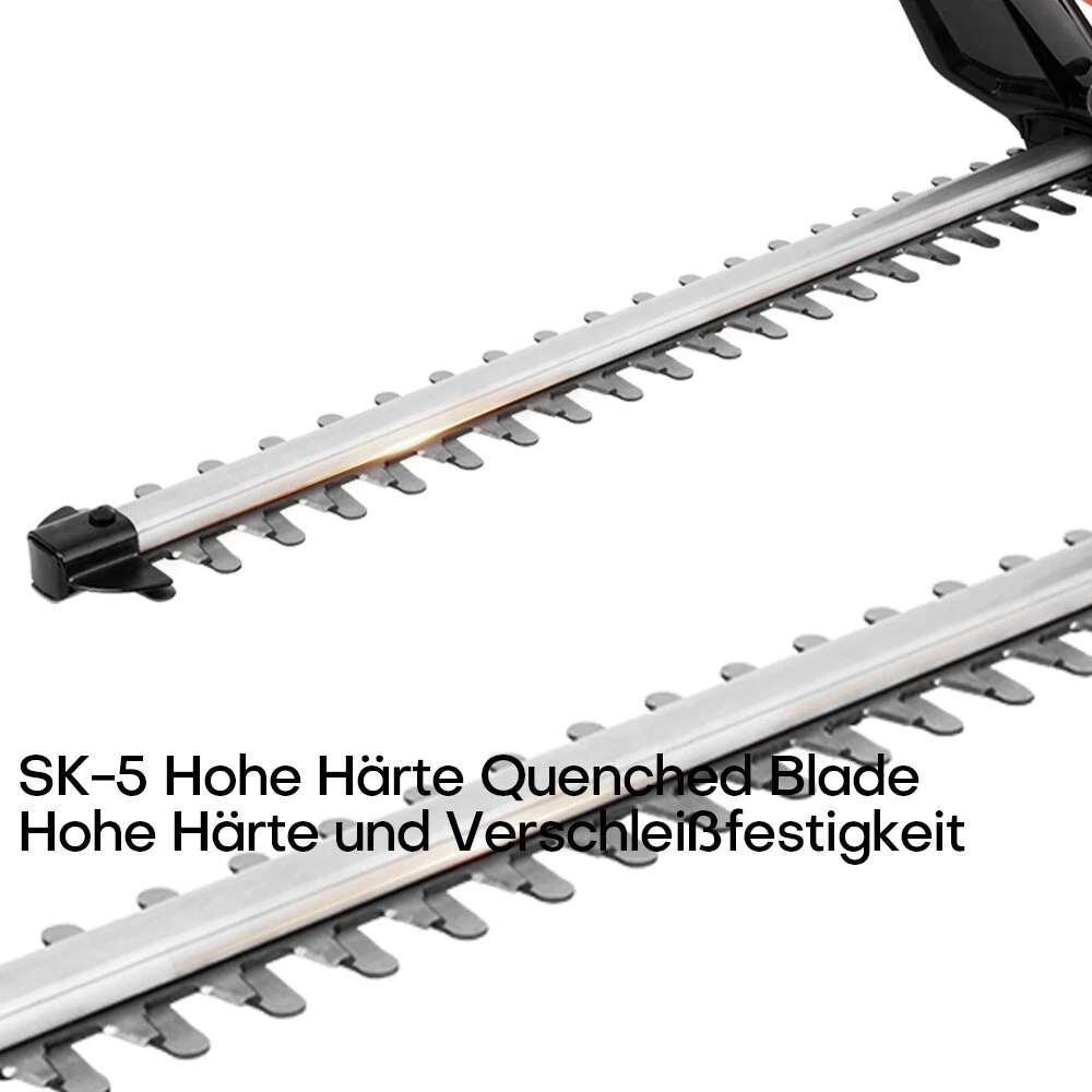 Bild 13 von 14