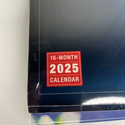 Calendario da Parete 2025 Pigiama Cuccioli di Inc Sellers Editoria 12x12 16 Mesi Nuovo Sigillo - Foto 3 di 8