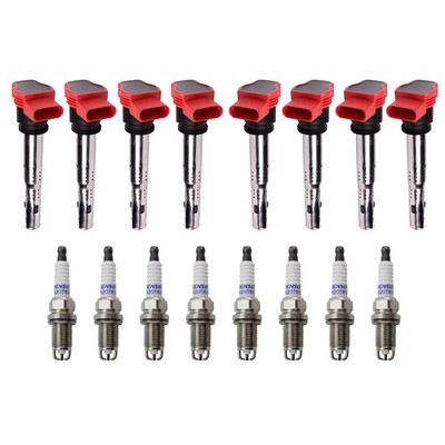 Eldor 8 Ignition Coils Denso Platinum Spark Plugs Kit for Audi VW 4.2L V8