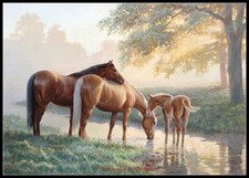 Horses in Morning - Chart Counted Cross Stitch Patterns Needlework DIY DMC Color