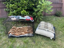 Large Dog Crate And Supplies Plus 3 Beds Leash Flea Meds Electric Collar Bandana
