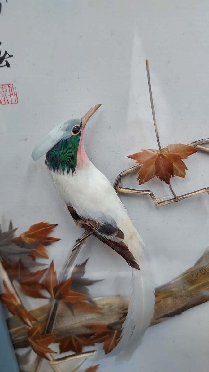 新品 WHAT WE WANT shimaenaga otoshi www s-l400.jpg