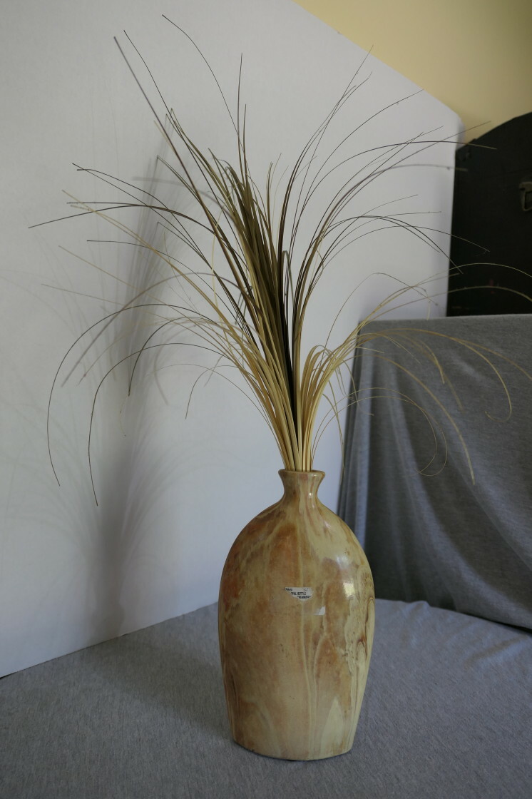 Picture 5 of 12