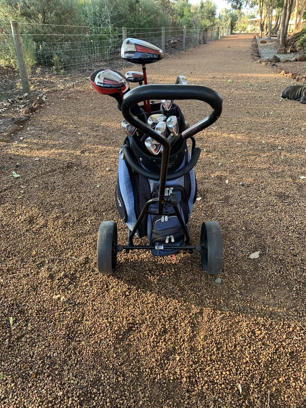 shark golf buggy