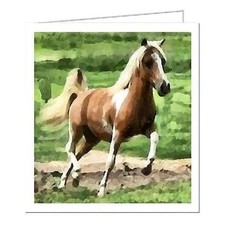 Miniature Horse - Uno - Set of Six Notecards. 5.25 x 5.25 inches