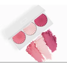 OFRA Midi Pink Palette Blossom Blush Unopened New in Box