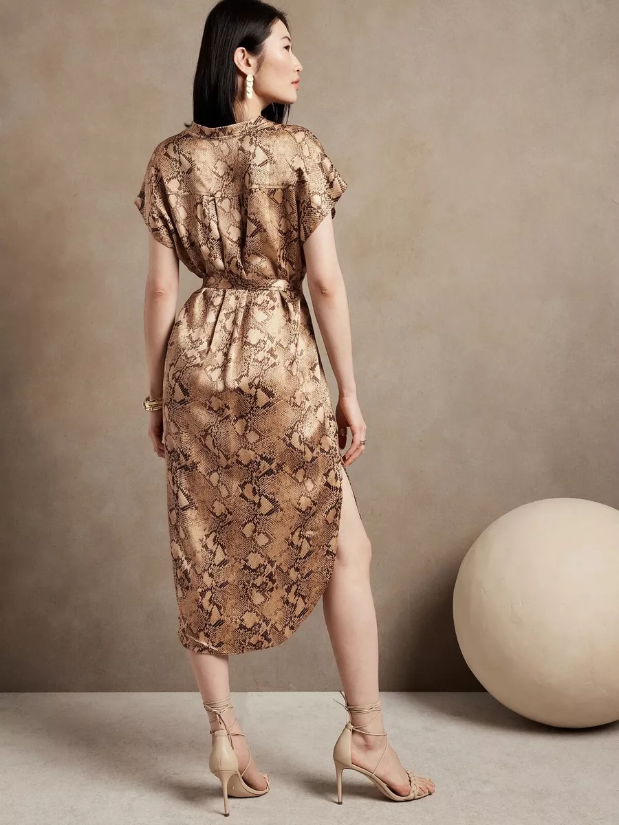 NWT NEW Banana Republic Serenade Silk Shirt Dress SIze S eBay