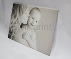 Picture 12 of 12