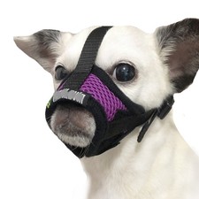 Dog Muzzle, Breathable Mesh Muzzles for Small Dogs 5-15bls, Chihuahua Muzzle ...