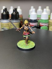 Human Female Fighter Miniature Dungeons Dragons DND Painted