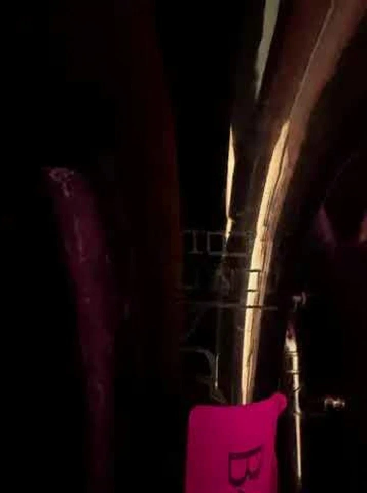 Corneta King 603 - Instrumento de latón hecho en EE. UU. con estuche Foto 2 de 4