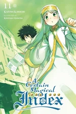 A Certain Magical Index, Vol. 11 - light novel (A Certain Magical Index (lig...
