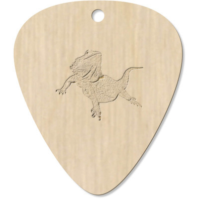 7 x 'Bearded Dragon' Guitar Picks / Pendants (GP00004282) | eBay 7 x 'Bearded Dragon' Guitar Picks / Pendants (GP00004282) | eBay