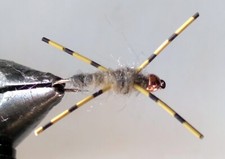 6 Tungsten Utah kiiler StoneFly #10 with copper bead stone fly