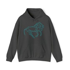 Horse Design Stylish Hooded Sweatshirt Multiple Colors All Sizes
