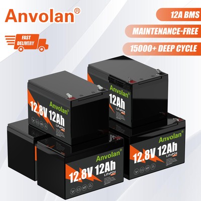 6X Zuverlässig 12V 12Ah LiFePO4 Batterie Lithium Akku BMS für Aussenborder Boot