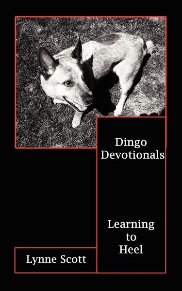 Lynne Scott | Dingo Devotionals | Taschenbuch | Englisch (2007) | AuthorHouse-image