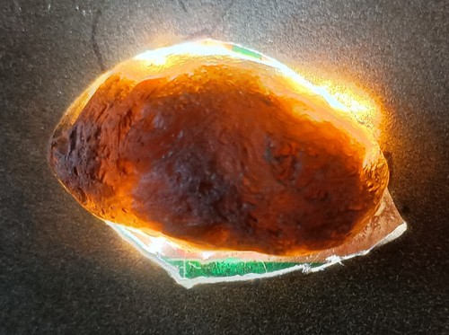 14 gram Rare Texas Bediasite Tektite – Brazos County
