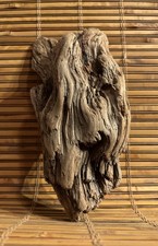 Beautiful 8" DRIFTWOOD Piece Terrarium Taxidermy Art Crafts Reptile DECOR