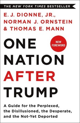 One Nation After Trump: A Guide for the Perplexed, the Disillusioned, the De...