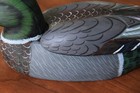 1995 United Co. Wood Duck Decoy w/Pocket Knife & Larry Duke Duck Images - USA — photo 7