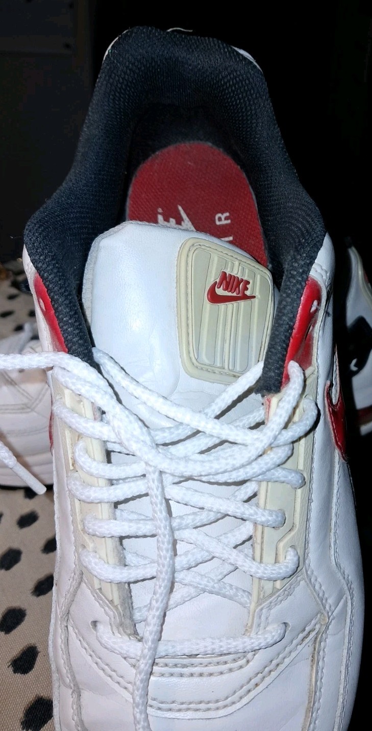 Picture 4 of 20
