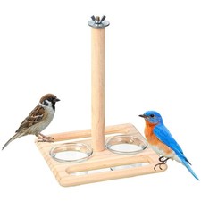 Parrots Feeding Bowl Bird Cage Perch Platform for Budgie Small Medium Parrot