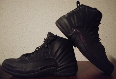 jordan 12 winterized men's