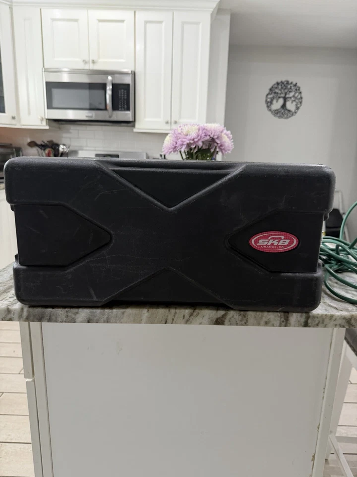 American Audio DCD-PRO210 con cables y estuche rígido SKB Foto 4 de 4